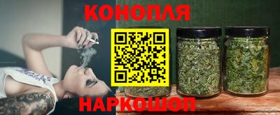 эйфоретик Кингисепп