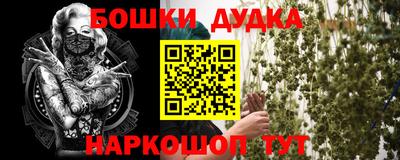 эйфоретик Кингисепп