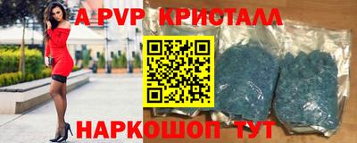 эйфоретик Кингисепп