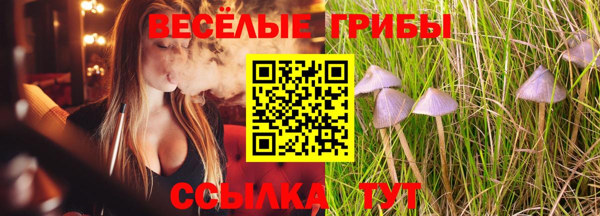 Химки  дарнет шоп  Вход с VPN  Псилоцибиновые грибы мицелий 