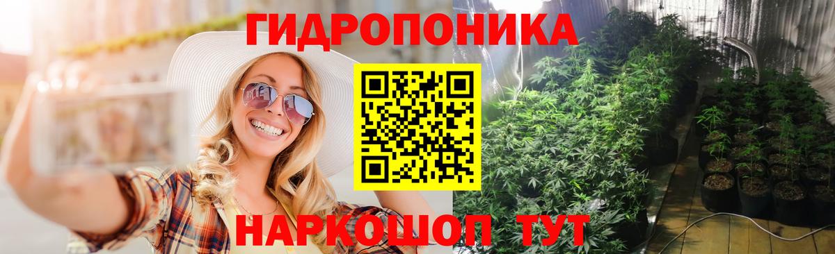 Канабис ГИДРОПОН Химки